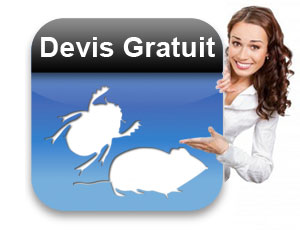 devis de dératisation gratuit